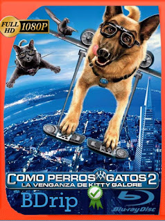 Como perros y gatos 2 La Venganza de Kitty Galore (2010) BDRip [1080p] Latino [GoogleDrive] SXGO