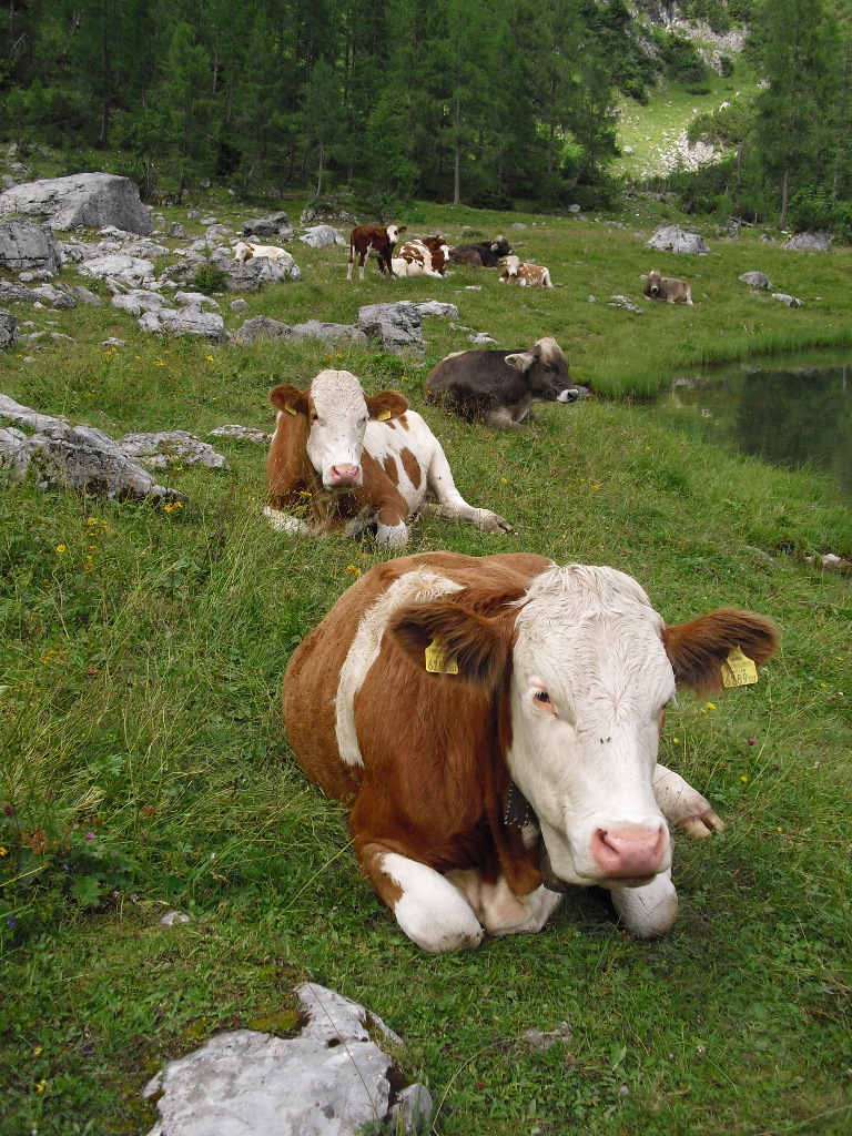 Die Frau mit recht wenigen Eigenschaften: Juli 2011