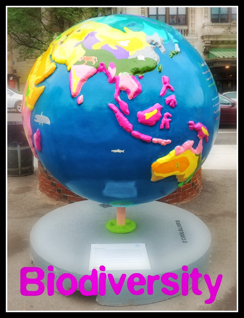 The Cool Globes en Boston: Common I: Biodiversity