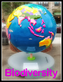 The Cool Globes en Boston: Common I: Biodiversity