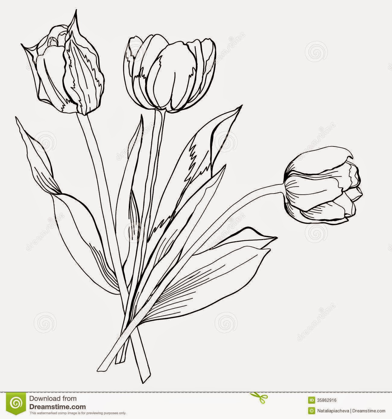 Gambar Sketsa Bunga Tulip Gambar Pemandangan Dua Jenis Arsiran