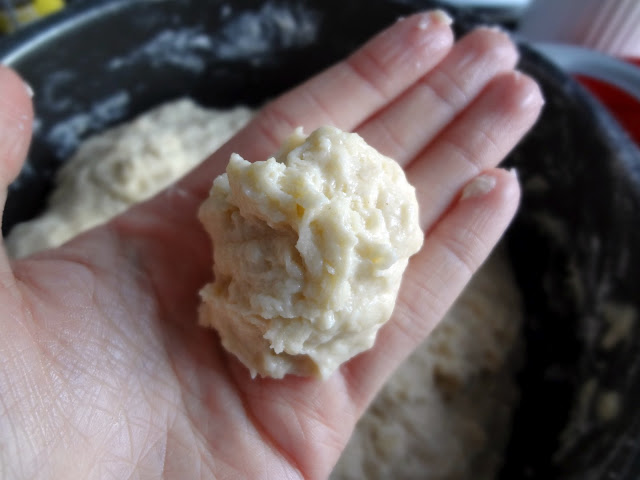 No Knead Dinner Rolls No Knead Dinner Rolls