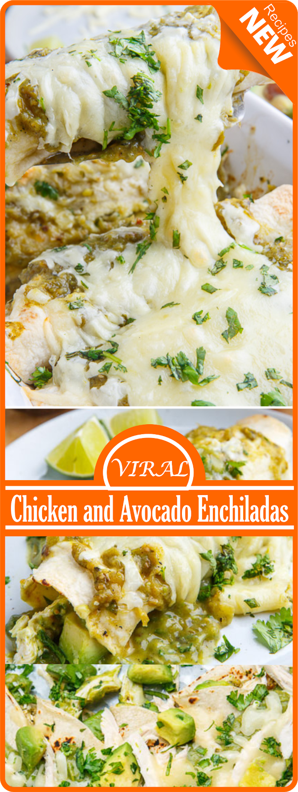 Chicken and Avocado Enchiladas | Think food