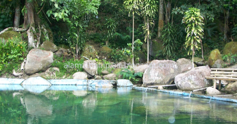 Mimpi Melihat Air Kolam Warna Hijau MIMPIRA