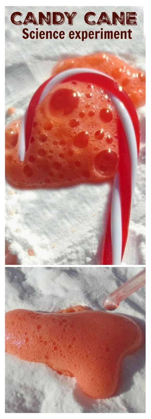 CANDY CANE EXPERIMENT FOR KIDS- perfect exploration for the holiday season!