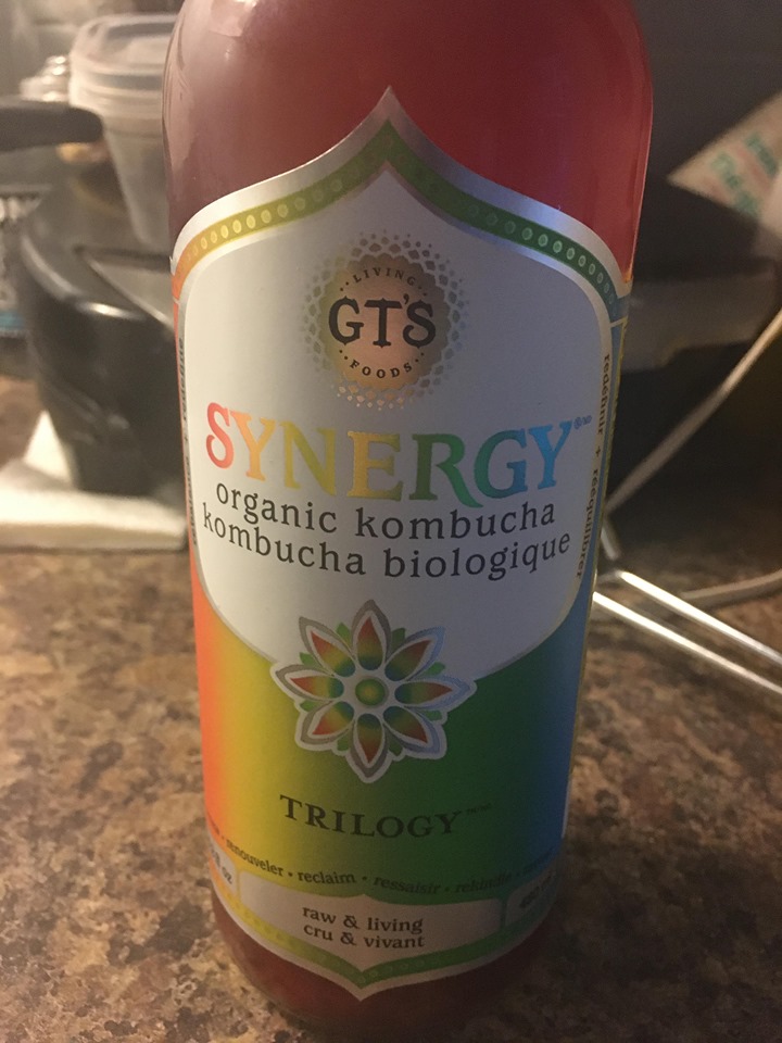 kombucha synergy big bottle kombucha synergy big bottle