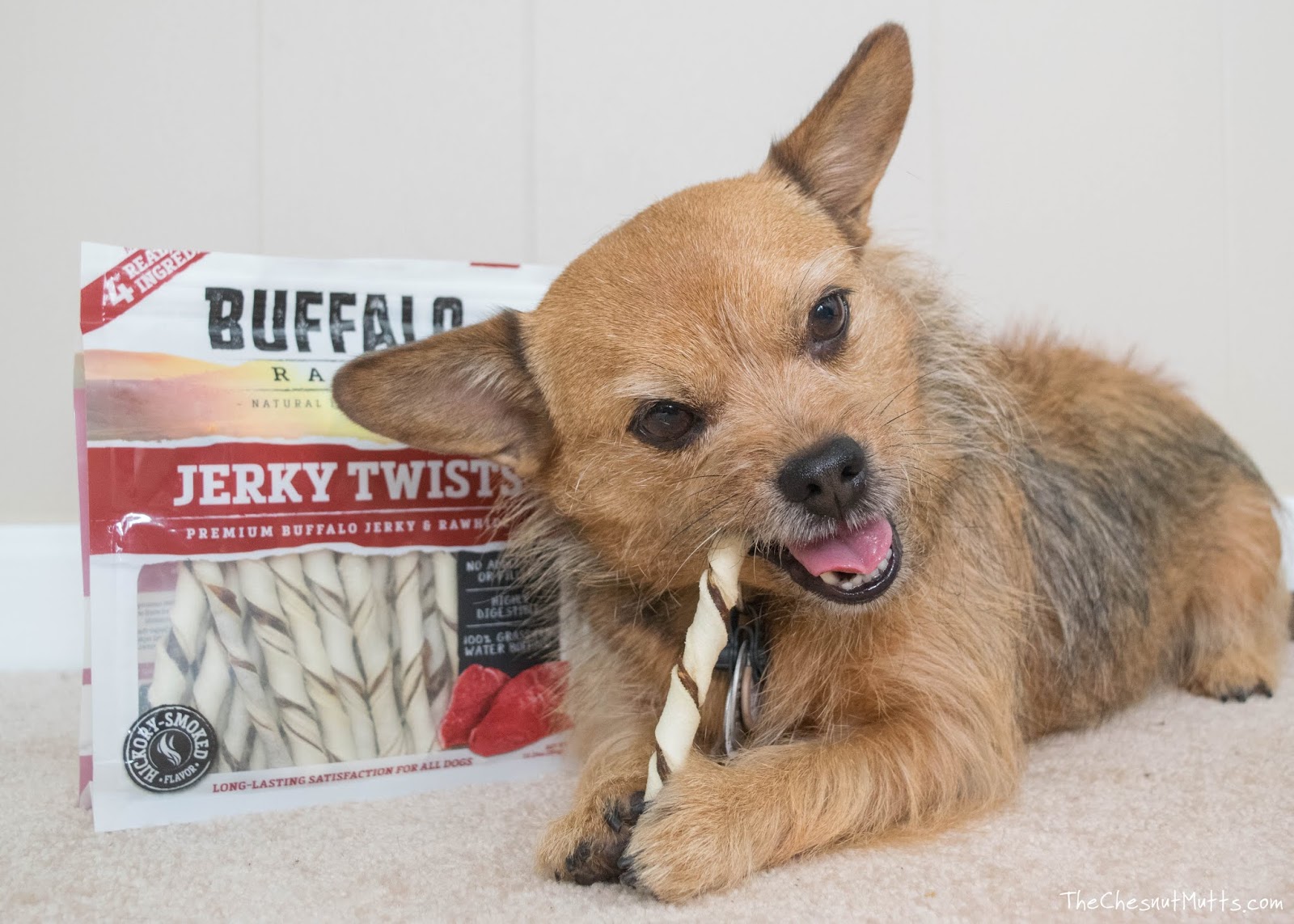 Review & Giveaway Chewing Wisely with Buffalo Range Chews The
