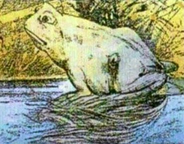 Persamaan antara Kuda dan Katak
