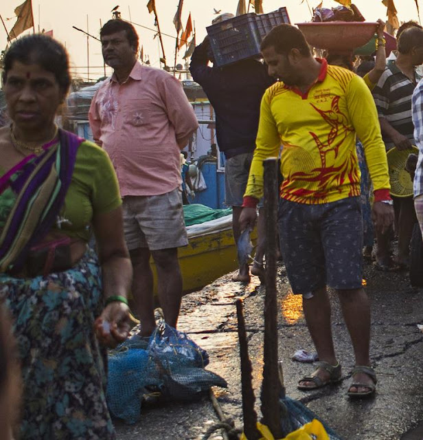 fish, fishermen, traders, sassoon docks, mumbai, india, 