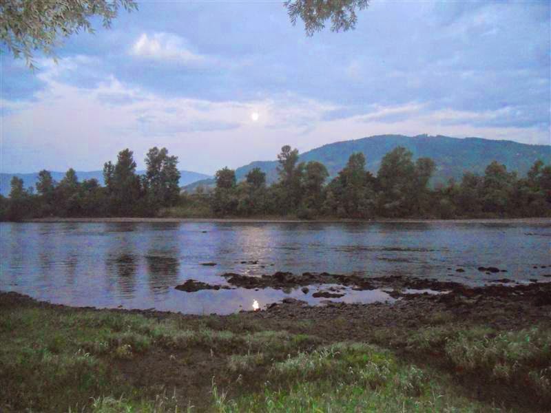 Morning on the river Drina