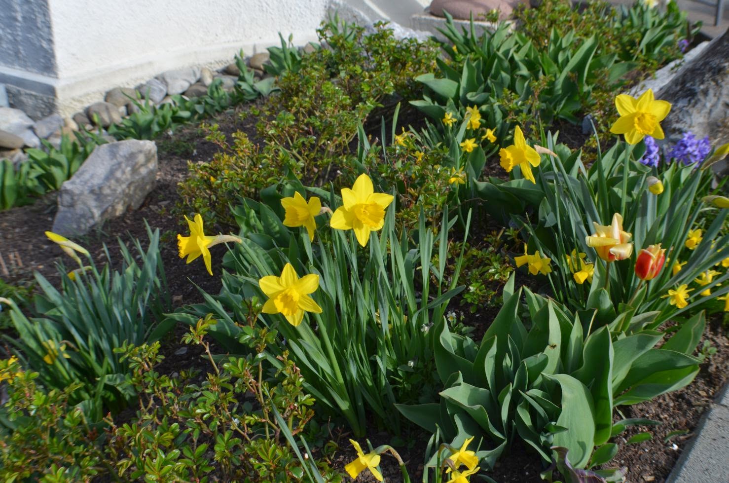 Frischer Wind April 2014