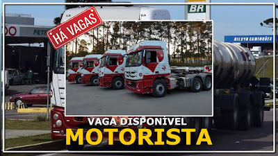 videira transportes