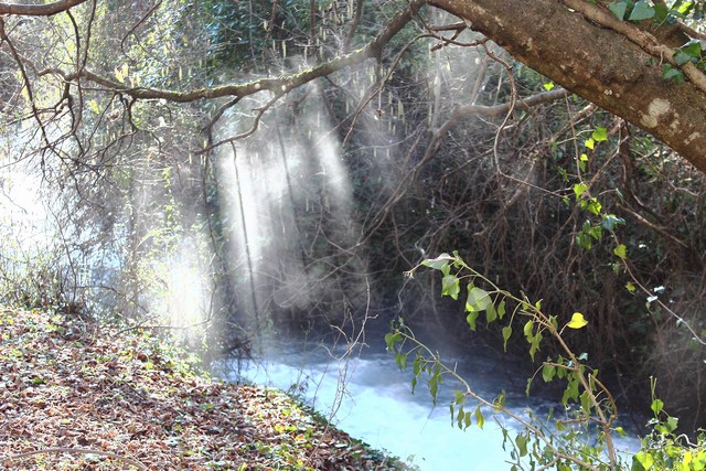 Il fiume Coscile Parco Nazionale del Pollino