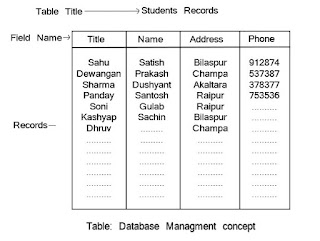 Database records Managment