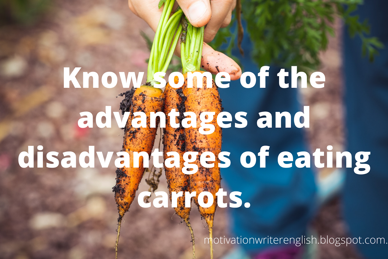 Know some of the advantages and disadvantages of eating carrots