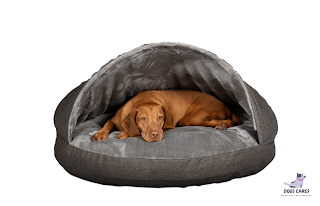  Cave-Style Dog Bed