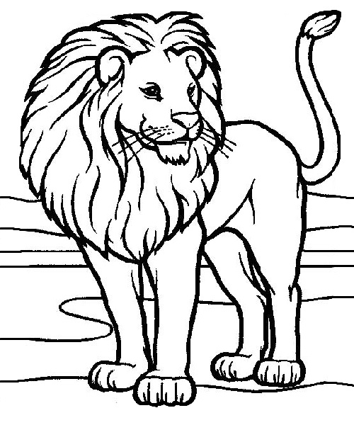 Animal Coloring Pages Images: Lions And Tigers Coloring Pages