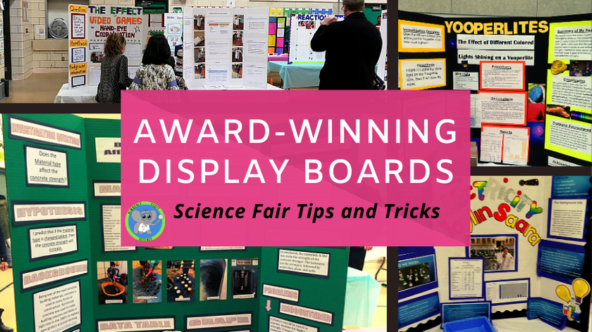 Science Fair Board Ideas - Little Bins for Little Hands