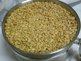 A Celebration of Grains A Celebration of Grains
