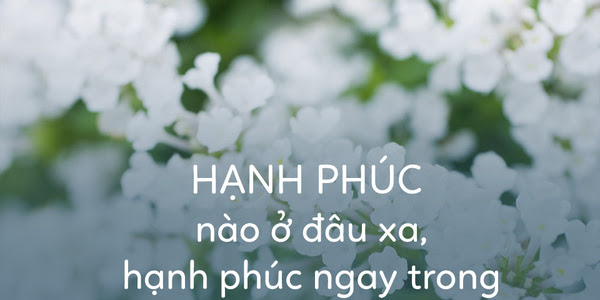 Văn tự sự: Hạnh phúc trong tôi