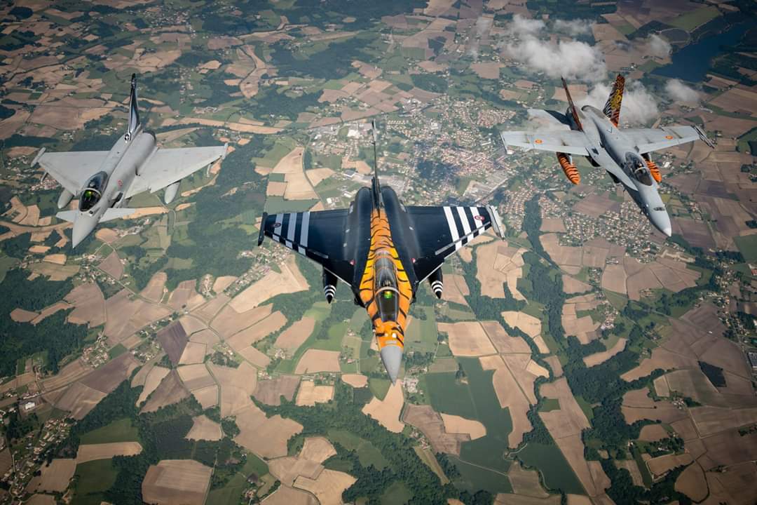 Pax Aquitania En Images Retour Sur Le Nato Tiger Meet 2019