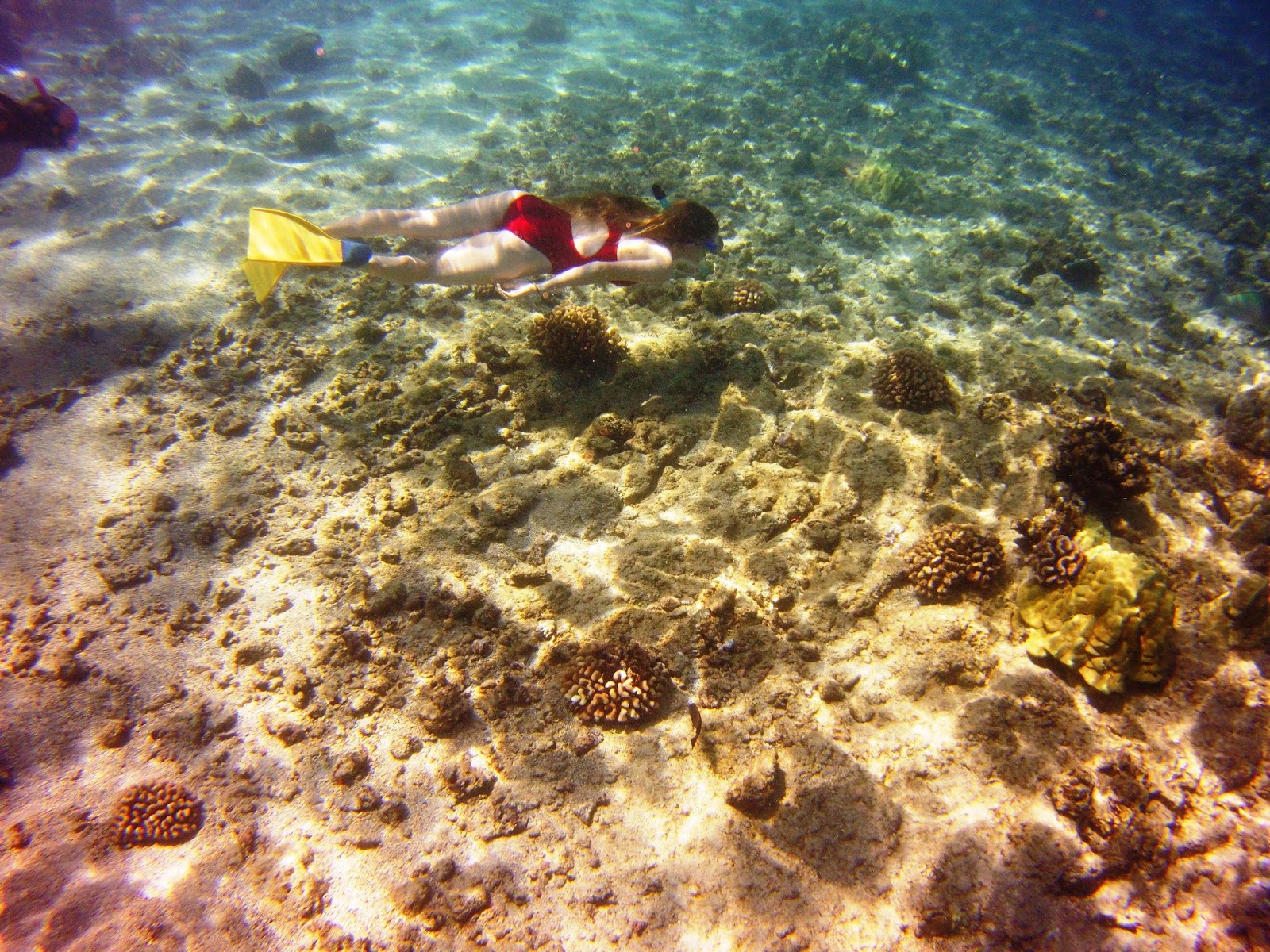 All Hawaii News Slew of bills include plastic straw ban, raises for