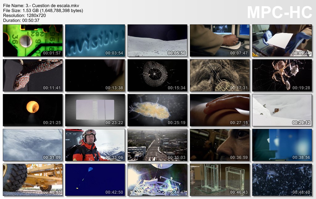 4GB|BBC|Mundos Invisibles|3-3|HD 720p|Mega|Taykun