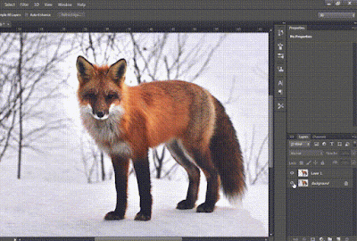 Tutorial Seleksi dan Crop Objek di Photoshop Cs6 Cepat dan Praktis Tutorial Seleksi dan Crop Objek di Photoshop Cs6 Cepat dan Praktis