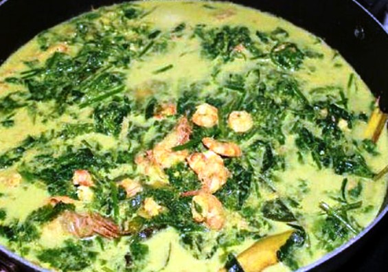 Pakis Curry Pakis Curry Typical Padang
