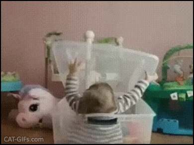 Funny Cat GIF • You stay in your box, baby, it's nap time. Mode “Cat domination“ activated“ Funny Cat GIF • You stay in your box, baby, it's nap time. Mode “Cat domination“ activated“