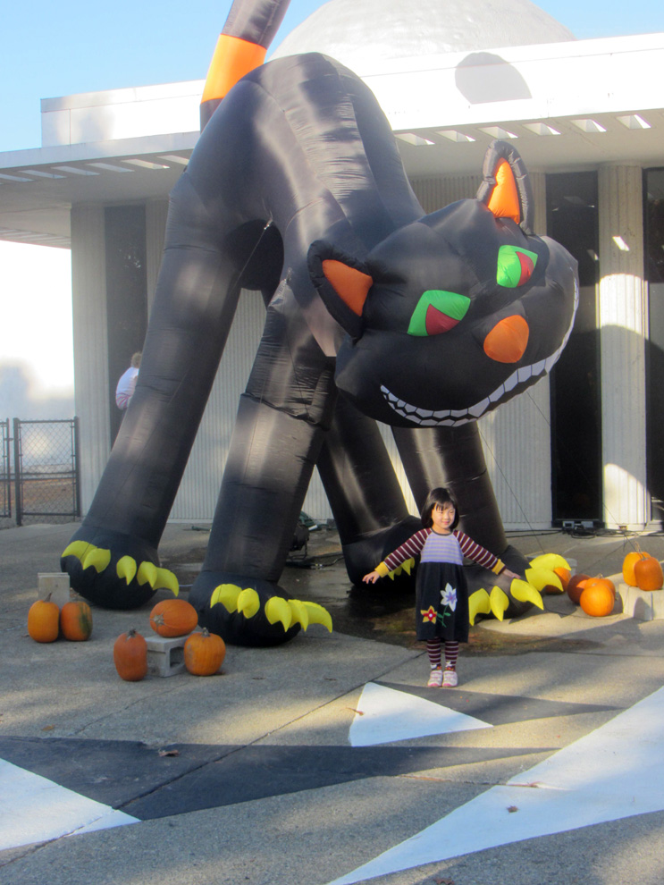 A Rolling Crone Presidential Pumpkins &amp; Cool Halloween Decor