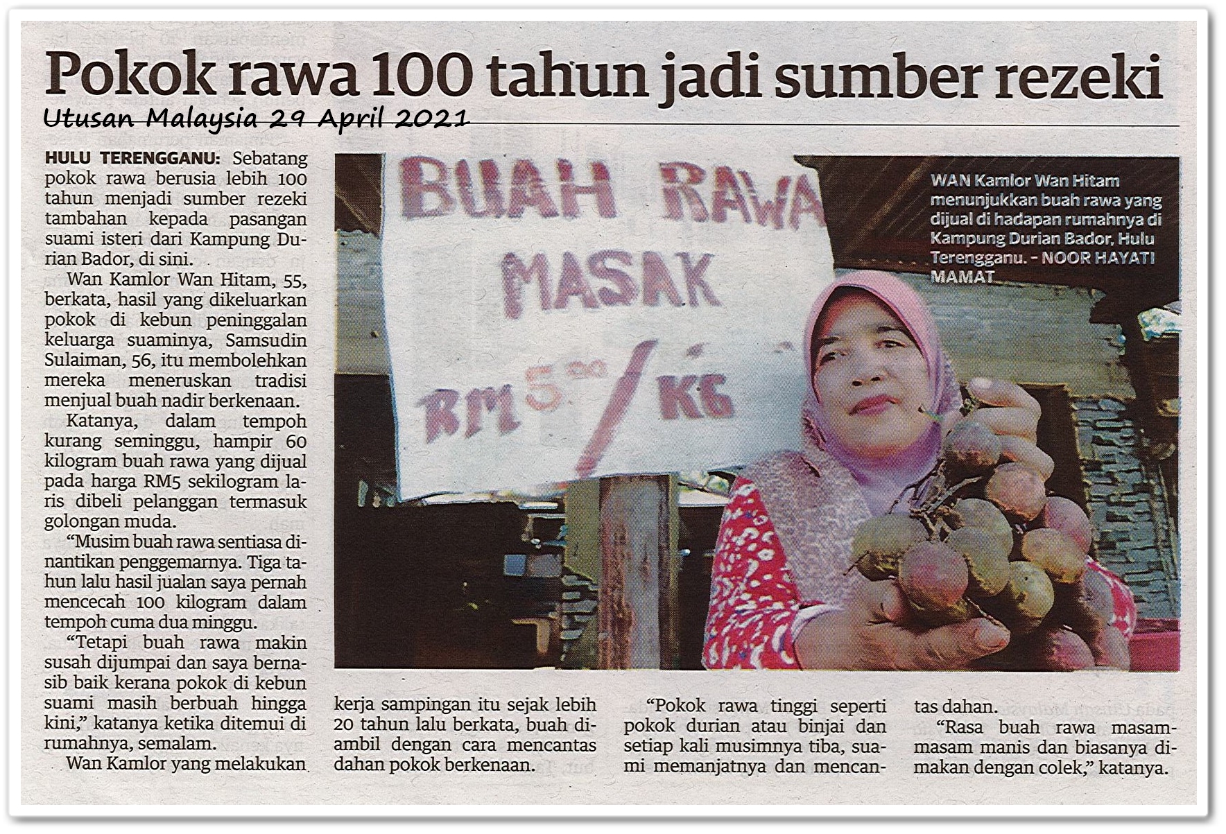 Pokok rawa 100 tahun jadi sumber rezeki - Keratan akhbar Utusan Malaysia 29 April 2021