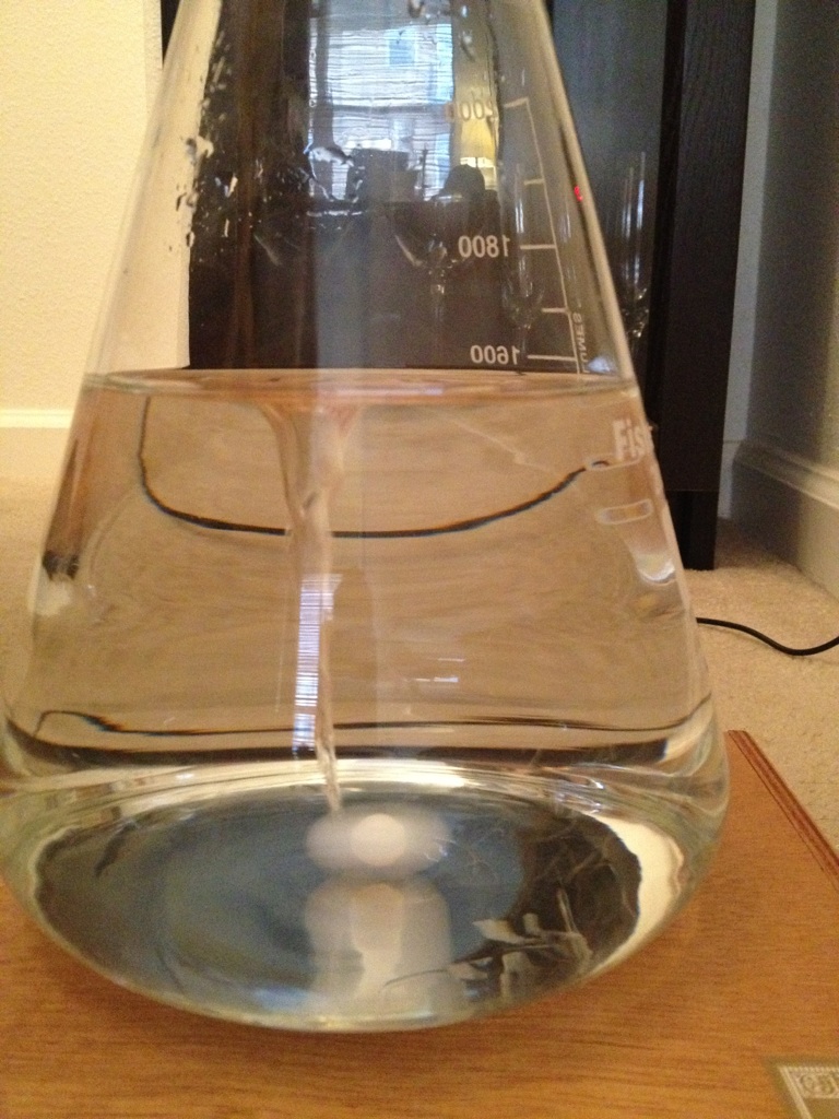 Rowdy Reptile Brewing Company: DIY Stir Plate