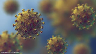 https://habibatuna.blogspot.com/2020/05/coronavirus-pandemic.html