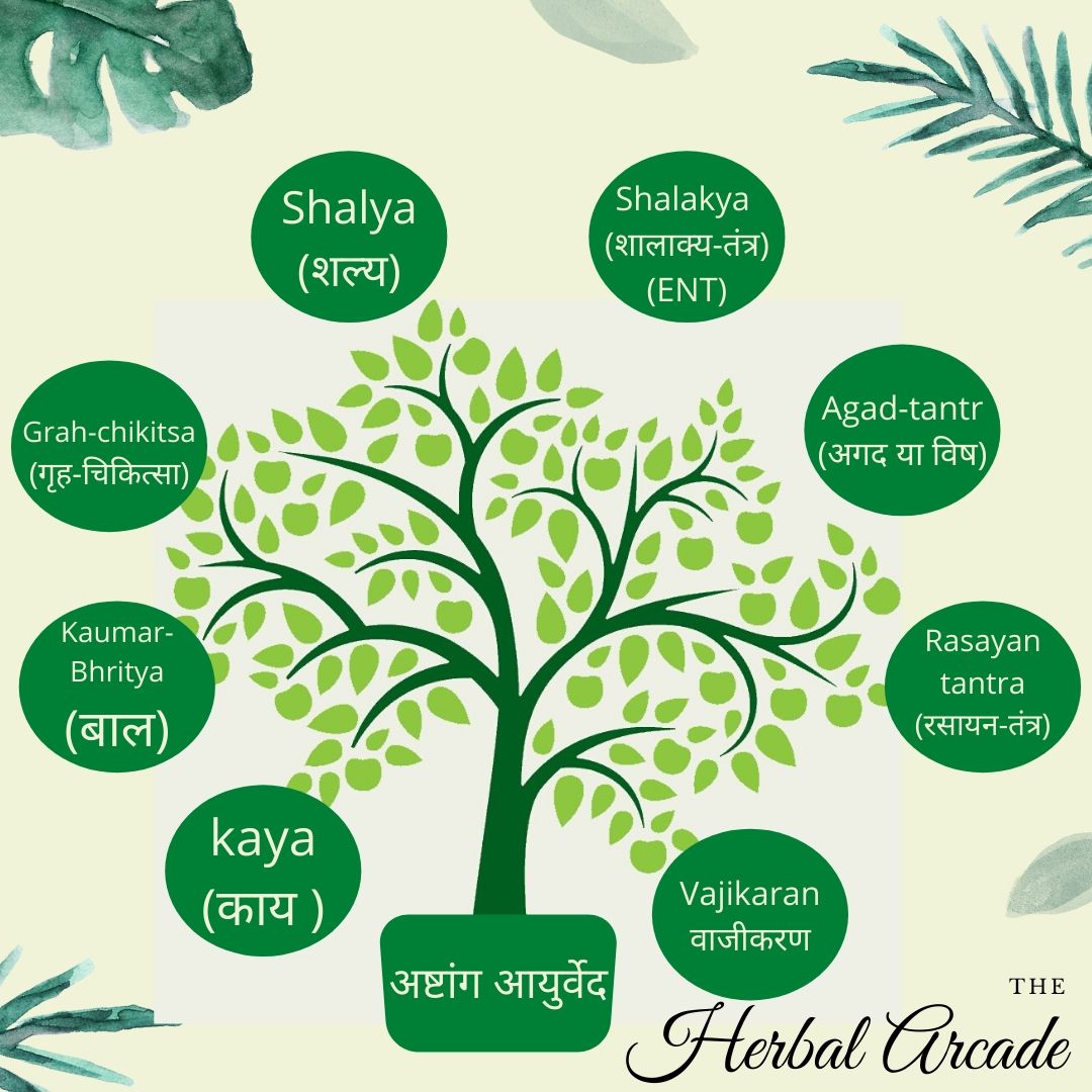 What Is Ashtang Ayurveda? — Herbal Arcade