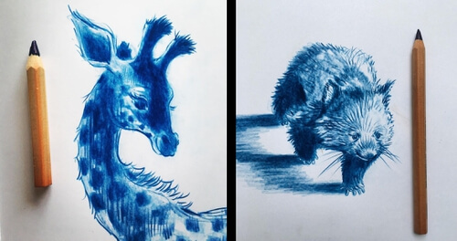 00-Animal-Sketches-Farbe-Und-Fabeln-www-designstack-co