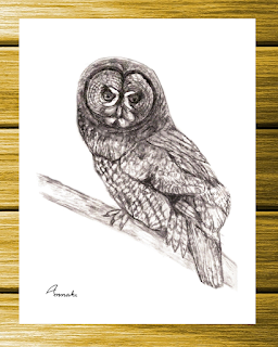 Barred owl print by Annake
