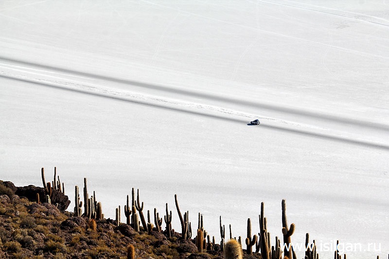Солончак Уюни (Salar de Uyuni). Боливия Solonchak-Ujuni-Salar-de-Uyuni-Bolivija