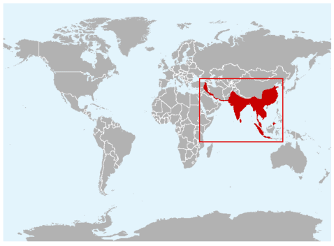 Asian ElephantMap 