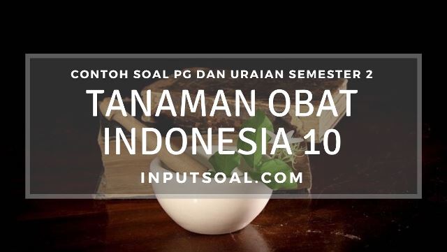 Contoh Soal Tanaman Obat Indonesia Kelas 10 Semester 2 - Inputsoal.com