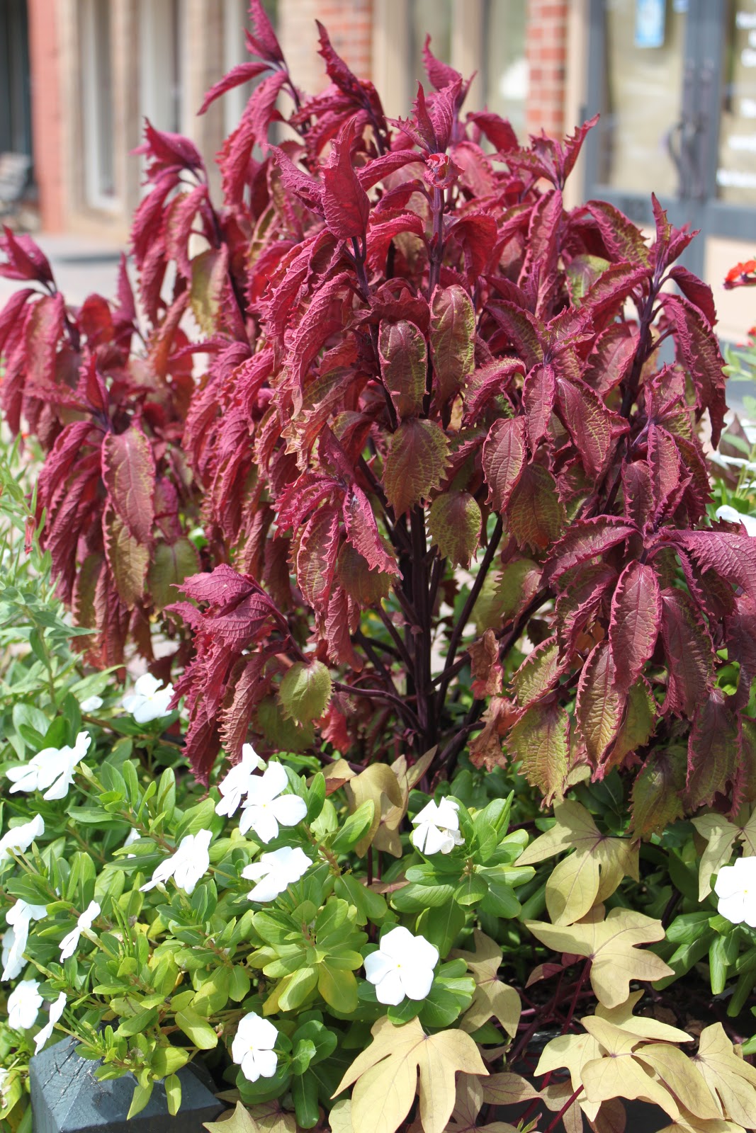 Garden Containers in Madison, Georgia: The Good, The Bad and the Ugly