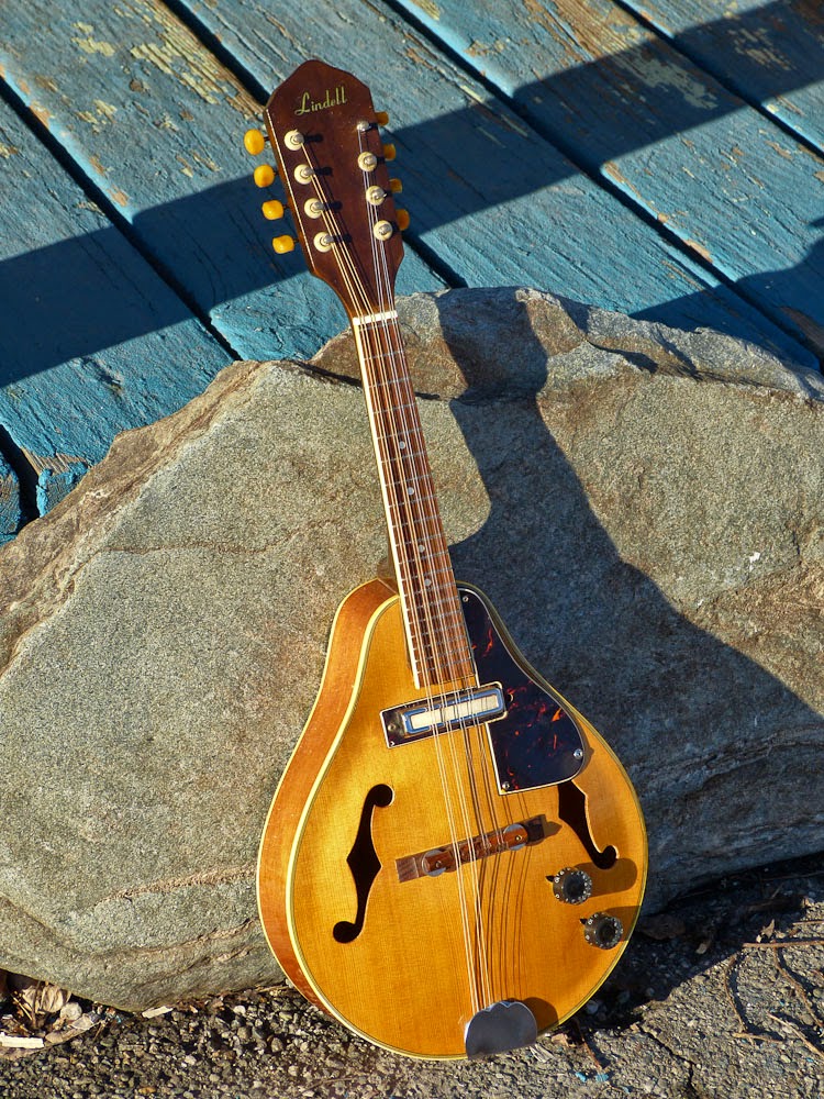 害虫 杭 パパ マンドリン ヤマハ 未来 ボード 魅力的