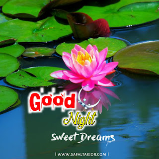 Good Night Images lotus