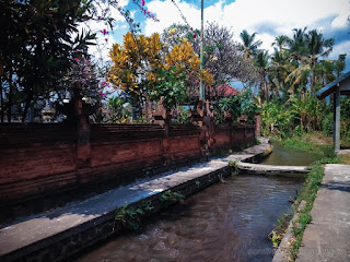Farm Irrigation River Channel Flow Beside Hindu Balinese Temple At Ringdikit Village North Bali Indonesia