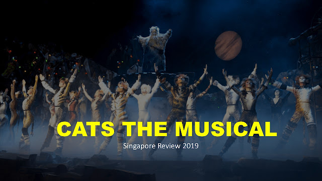 CATS Singapore Review : A Wacky Feline Experience