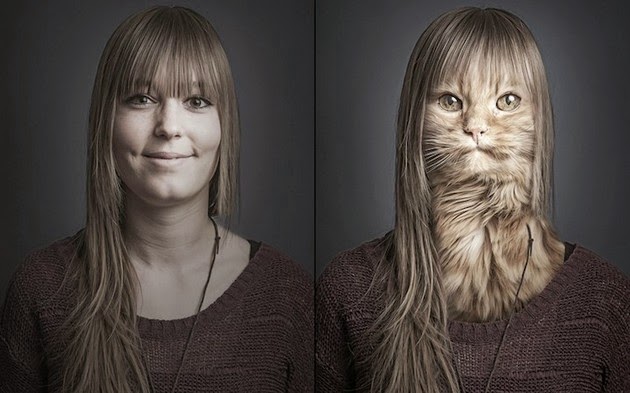 Transplants-Cats-Faces-1