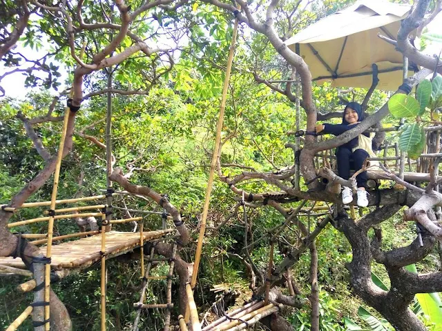 foto rumah pohon goa cocor kebumen