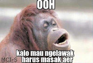 kata lucu monyet kata lucu monyet