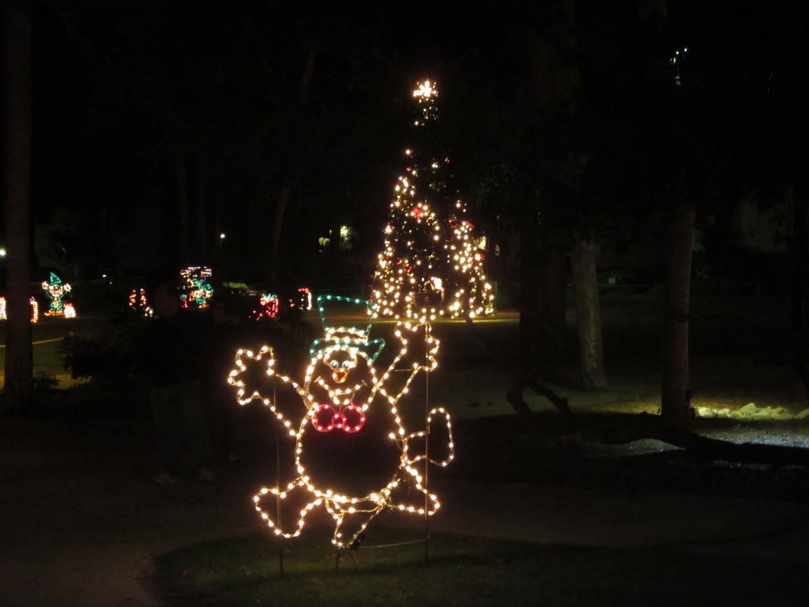 Islander Knowledge of Hilton Head Island Hilton Head Island’s