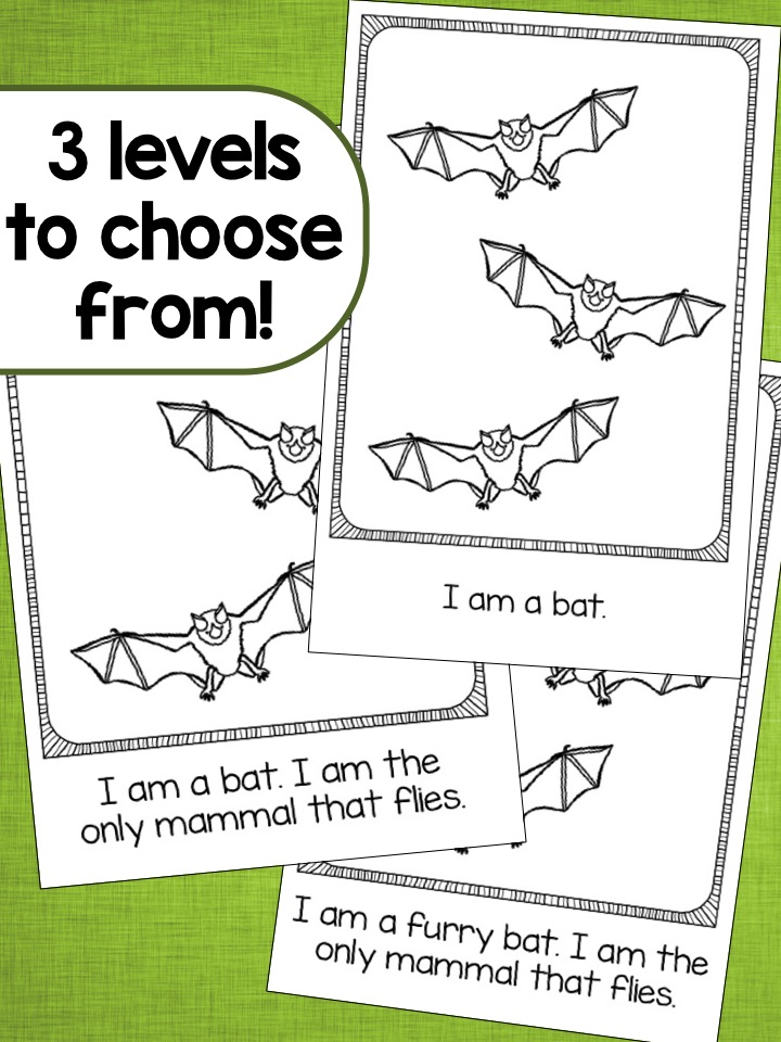 Bats Nocturnal Animals Differentiated Readers {Plus a FREEBIE!} The